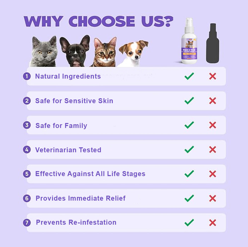 💥 2025 Limited Offer 80% ️⏳ CVREOZ Flea & Tick Treatment Spray