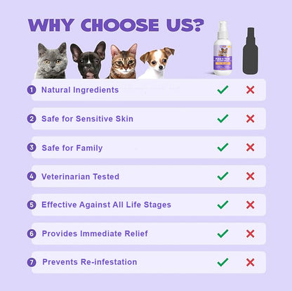 💥 2025 Limited Offer 80% ️⏳ CVREOZ Flea & Tick Treatment Spray