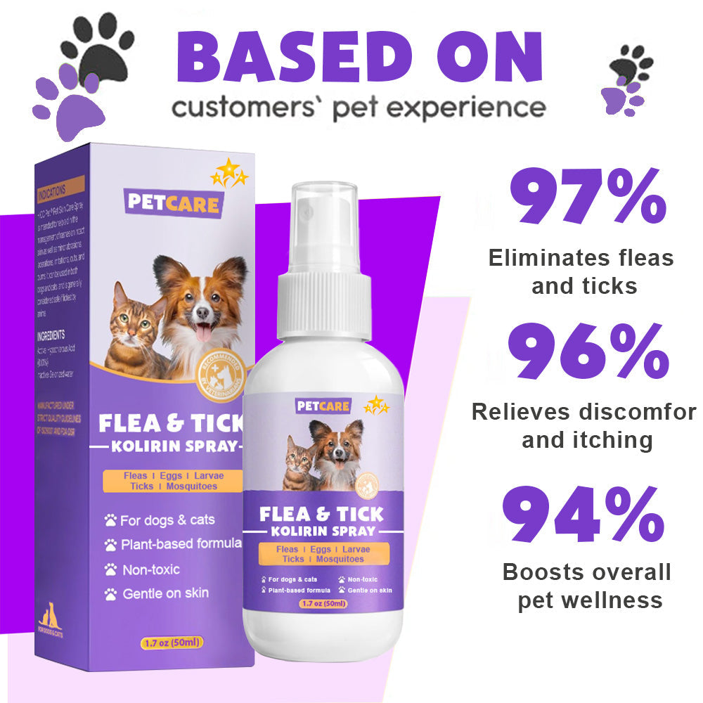 💥 2025 Limited Offer 80% ️⏳ CVREOZ Flea & Tick Treatment Spray