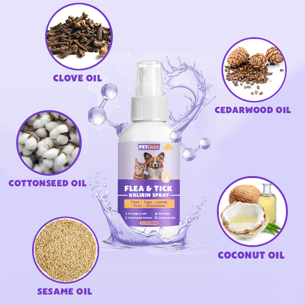 💥 2025 Limited Offer 80% ️⏳ CVREOZ Flea & Tick Treatment Spray