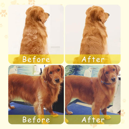 ⏰Last Day Promotion: 80% OFF🔥  TLOPA® Patented Exclusive Rechargeable Steam Pet Brush
