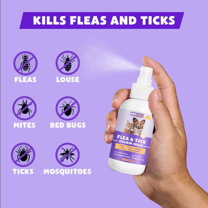 💥 2025 Limited Offer 80% ️⏳ CVREOZ Flea & Tick Treatment Spray