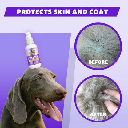 💥 2025 Limited Offer 80% ️⏳ CVREOZ Flea & Tick Treatment Spray