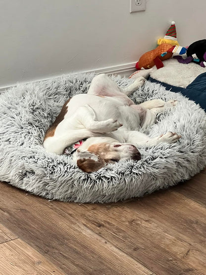 Last Day Promotion: 70% OFF 🔥TLOPA® Calming Dog Bed - The Ultimate Comfort for Your Furry Friend