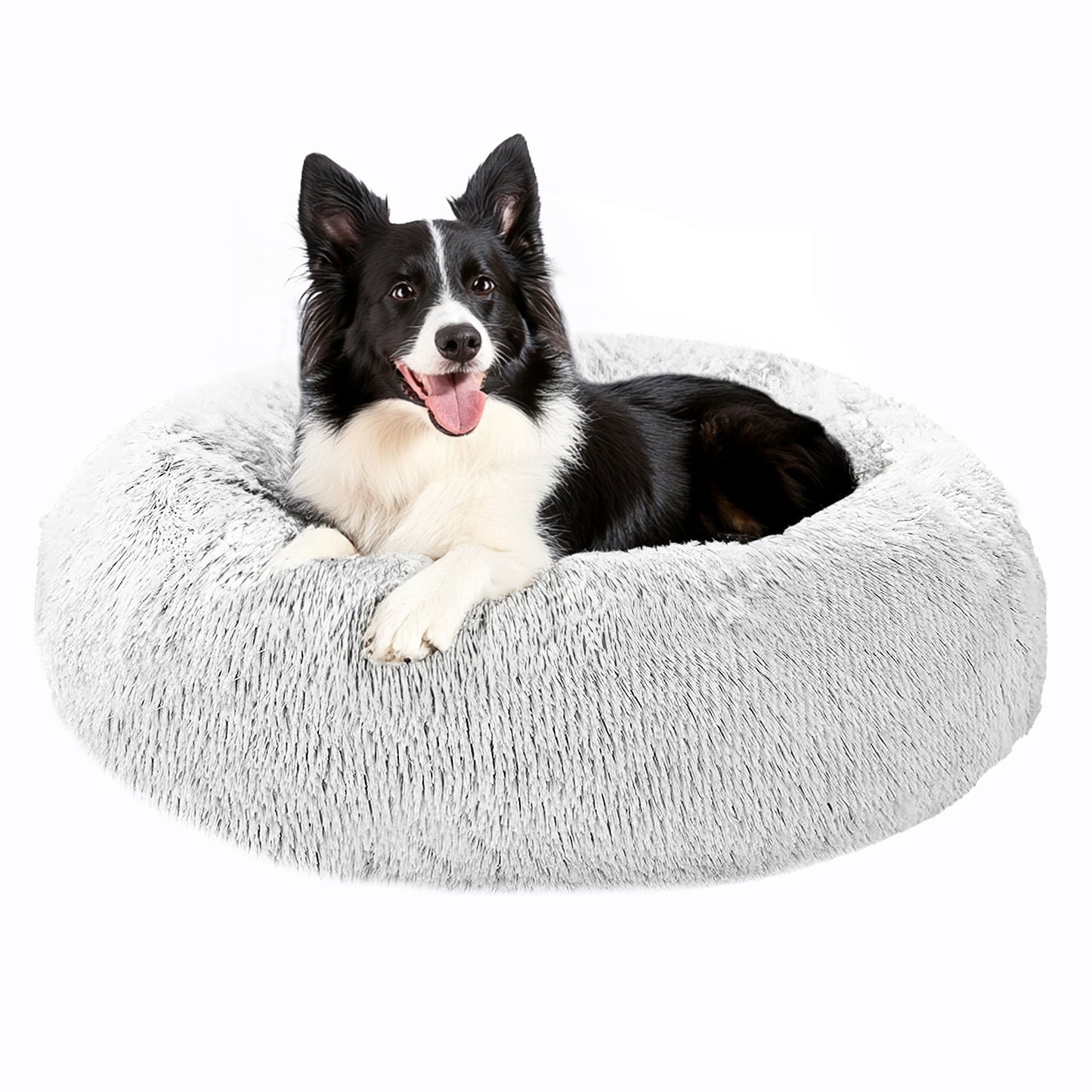Last Day Promotion: 70% OFF 🔥TLOPA® Calming Dog Bed - The Ultimate Comfort for Your Furry Friend