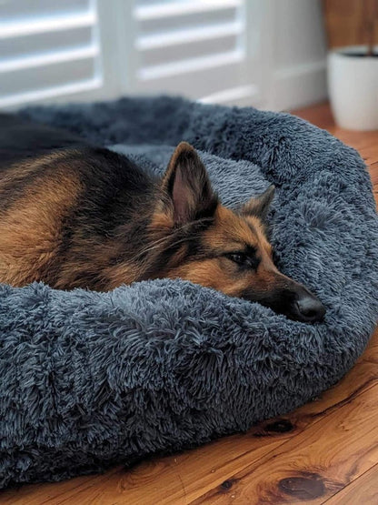 Last Day Promotion: 70% OFF 🔥TLOPA® Calming Dog Bed - The Ultimate Comfort for Your Furry Friend