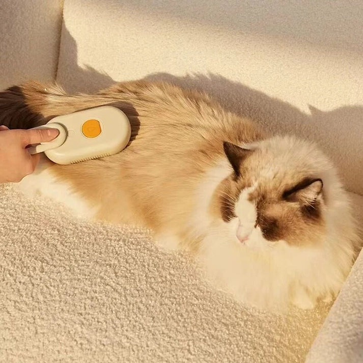 Last Day Promotion: 70% OFF 🔥 3 in 1 Steamy Pet Brush